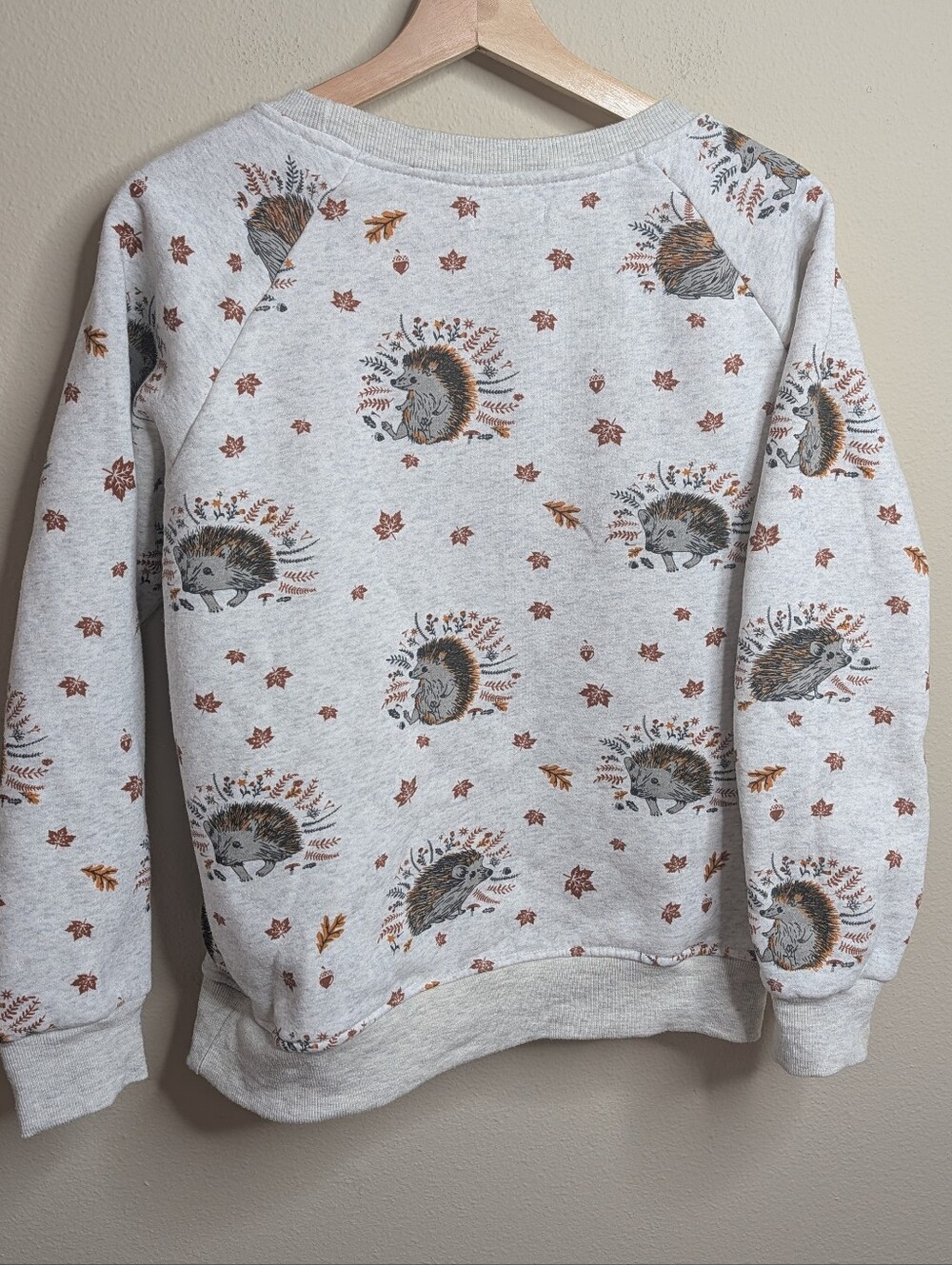 L.A. Soul Hedgehog Print Sweatshirt Crewneck Pullover Women's M Gray Cottagecore - Picture 7 of 7